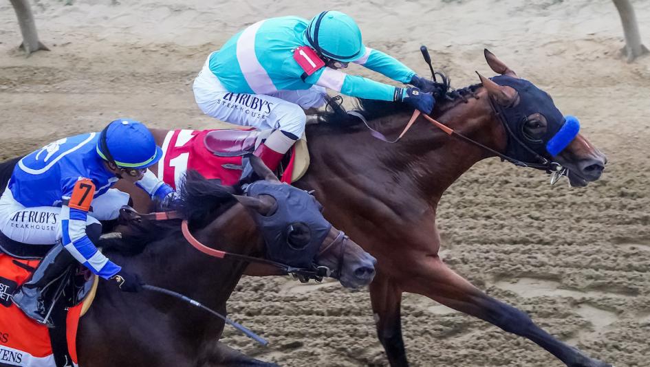 Triple Crown, Preakness, Belmont Stakes, Mage, National Treasure, Blazing Sevens